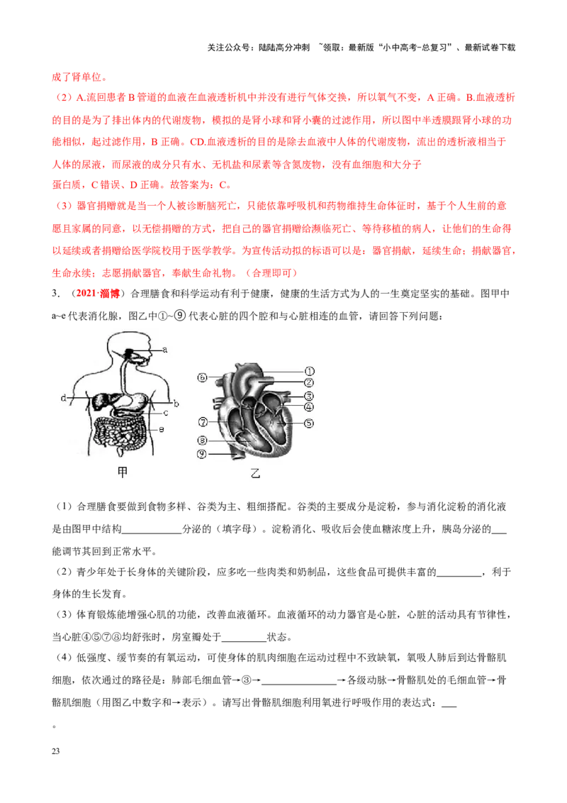专题07&nbsp;人体内的物质运输和废物排出（解析版）_02中考总复习（2026版更新中）_08-生物-中考总复习_2024年中考复习资料_专项复习_完三年（2021-2023）中考生物真题分项汇编（全国通用）