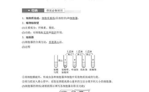 2024年高考生物一轮复习（新人教版）第2单元　第2课时　细胞器之间的分工合作_09高考生物_2024年新高考资料_1.2024一轮复习_2024年高考生物一轮复习讲义（新人教版）