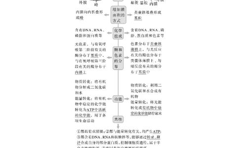 2024年高考生物一轮复习（新人教版）第2单元　第2课时　细胞器之间的分工合作_09高考生物_2024年新高考资料_1.2024一轮复习_2024年高考生物一轮复习讲义（新人教版）