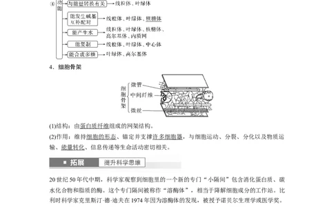 2024年高考生物一轮复习（新人教版）第2单元　第2课时　细胞器之间的分工合作_09高考生物_2024年新高考资料_1.2024一轮复习_2024年高考生物一轮复习讲义（新人教版）