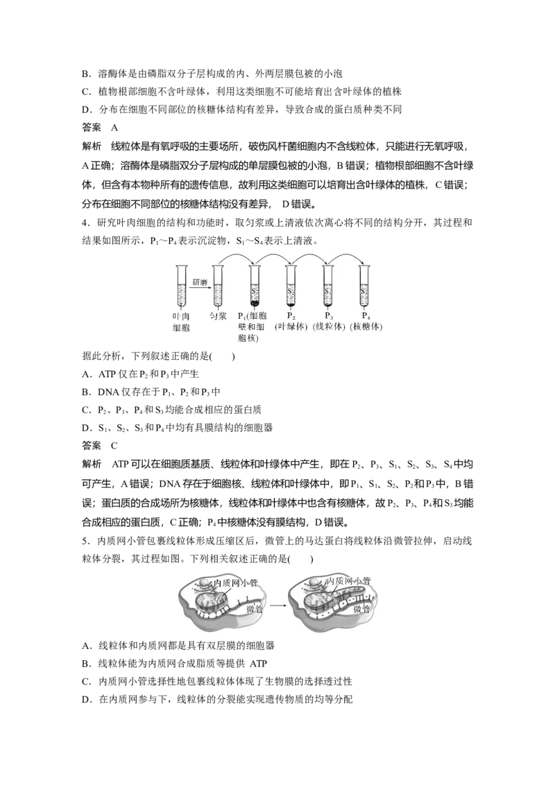 2024年高考生物一轮复习（新人教版）第2单元　第2课时　细胞器之间的分工合作_09高考生物_2024年新高考资料_1.2024一轮复习_2024年高考生物一轮复习讲义（新人教版）