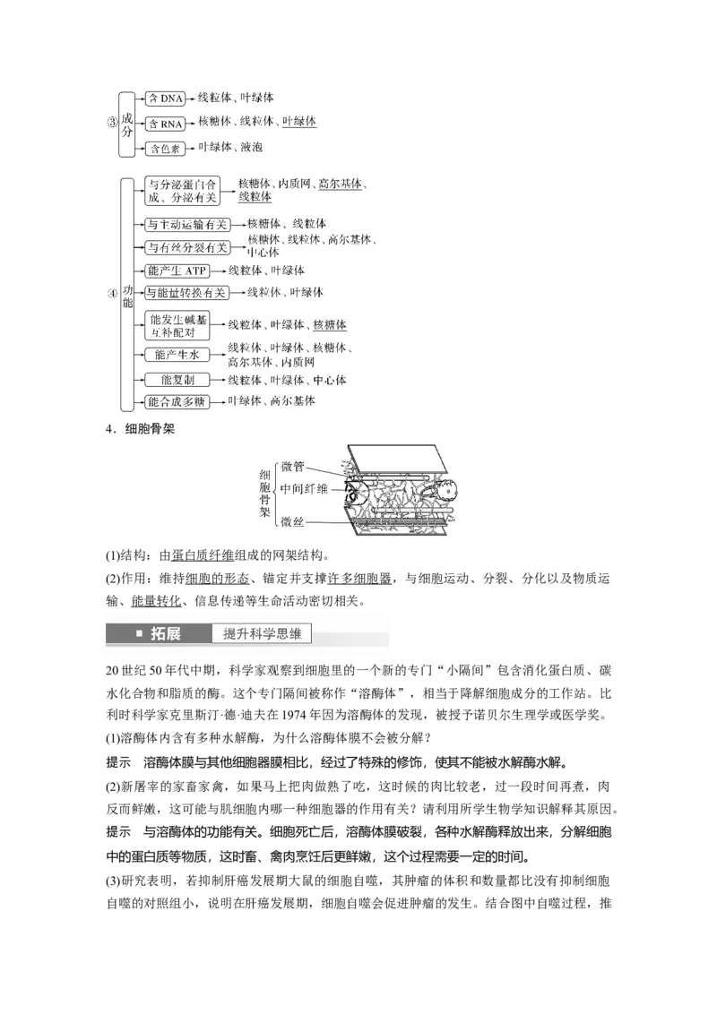 2024年高考生物一轮复习（新人教版）第2单元　第2课时　细胞器之间的分工合作_09高考生物_2024年新高考资料_1.2024一轮复习_2024年高考生物一轮复习讲义（新人教版）