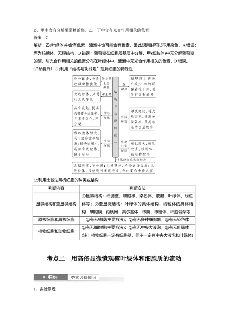 2024年高考生物一轮复习（新人教版）第2单元　第2课时　细胞器之间的分工合作_09高考生物_2024年新高考资料_1.2024一轮复习_2024年高考生物一轮复习讲义（新人教版）