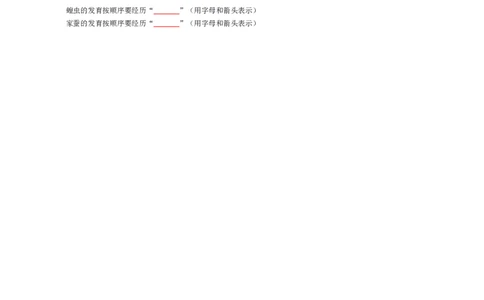 专题07生物圈中生命的延续和发展（填空版）_02中考总复习（2026版更新中）_08-生物-中考总复习_2025中考复习资料_2025年中考生物知识梳理_专题07生物圈中生命的延续和发展