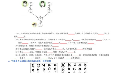 专题07生物圈中生命的延续和发展（填空版）_02中考总复习（2026版更新中）_08-生物-中考总复习_2025中考复习资料_2025年中考生物知识梳理_专题07生物圈中生命的延续和发展
