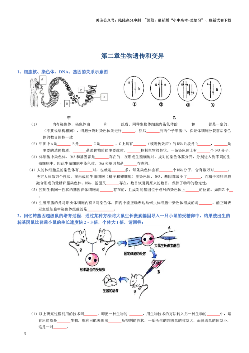 专题07生物圈中生命的延续和发展（填空版）_02中考总复习（2026版更新中）_08-生物-中考总复习_2025中考复习资料_2025年中考生物知识梳理_专题07生物圈中生命的延续和发展