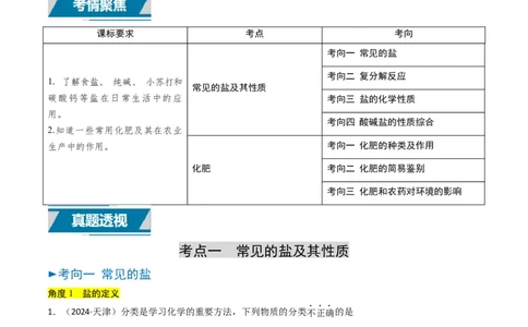 专题07常见的盐和化肥（解析版）_02中考总复习（2026版更新中）_05-化学-中考总复习_2025年中考复习资料_备战2025年中考化学真题题源解密