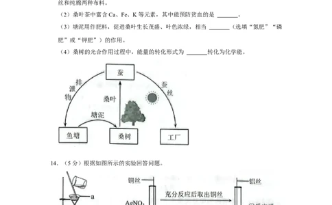 2022年河北省中考化学真题_河北中考_5.河北中考化学2008-2025