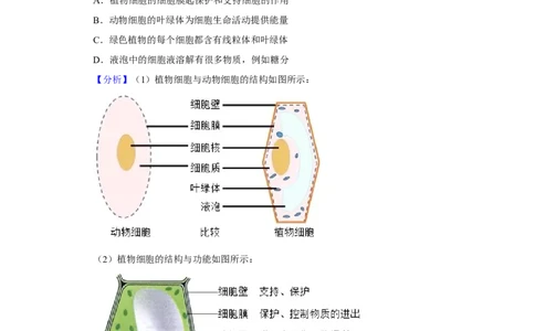 2021年河北省石家庄中考生物试题（解析版）_河北中考_6.河北生物2015-2024年卷