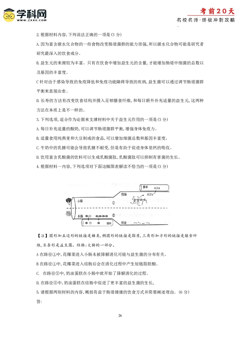 语文（一）-2024年高考考前20天终极冲刺攻略_2024高考押题卷_62024学科网全系列_21学科网高考考前终极攻略_语文-2024年高考考前20天终极冲刺攻略