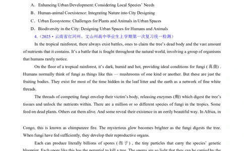 专题02阅读理解之主旨要义题（练习）（原卷版）_02高考数学_2025年新高考资料_二轮复习_01高考语文等多个文件_上好课2025年高考英语二轮复习讲练测（新高考通用）