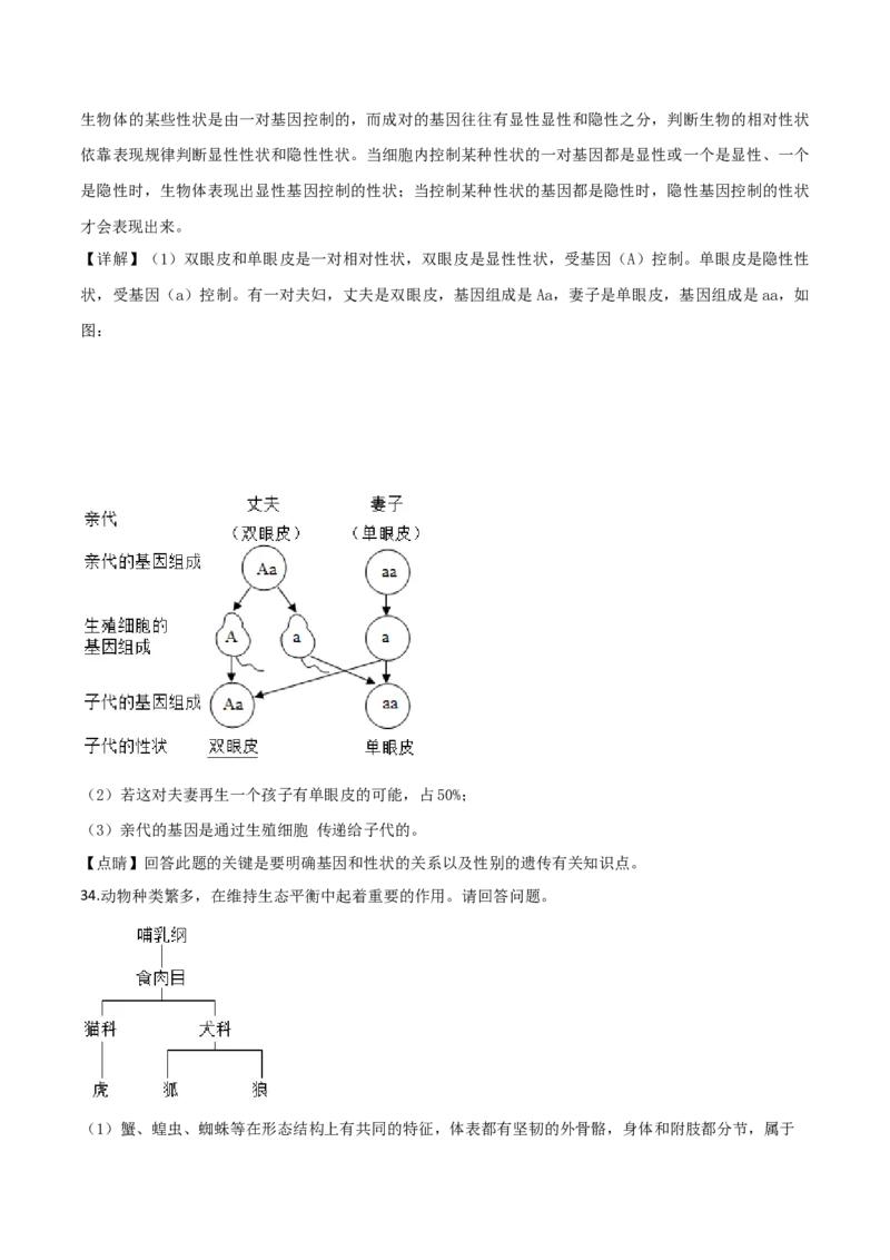 2019年陕西省中考生物真题（解析卷）_陕西_6.陕西中考生物（2016-2025）