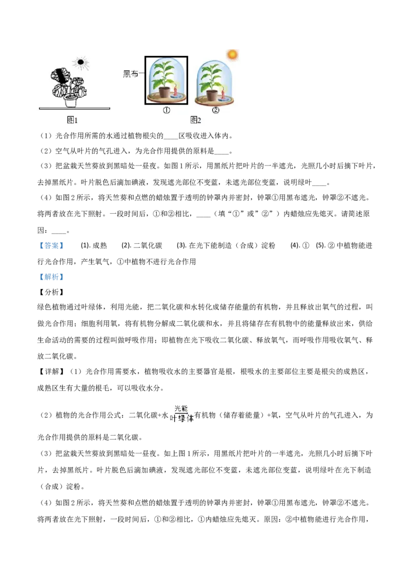 2019年陕西省中考生物真题（解析卷）_陕西_6.陕西中考生物（2016-2025）