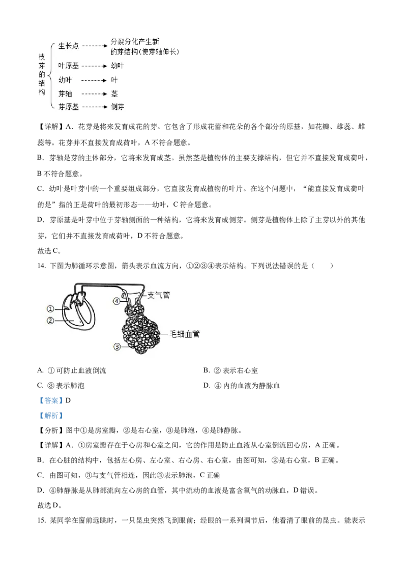 2024年河北省中考生物真题（解析版）_河北中考_6.河北生物2015-2024年卷