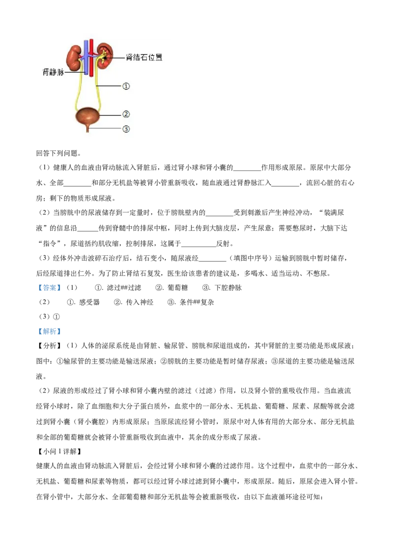 2024年河北省中考生物真题（解析版）_河北中考_6.河北生物2015-2024年卷