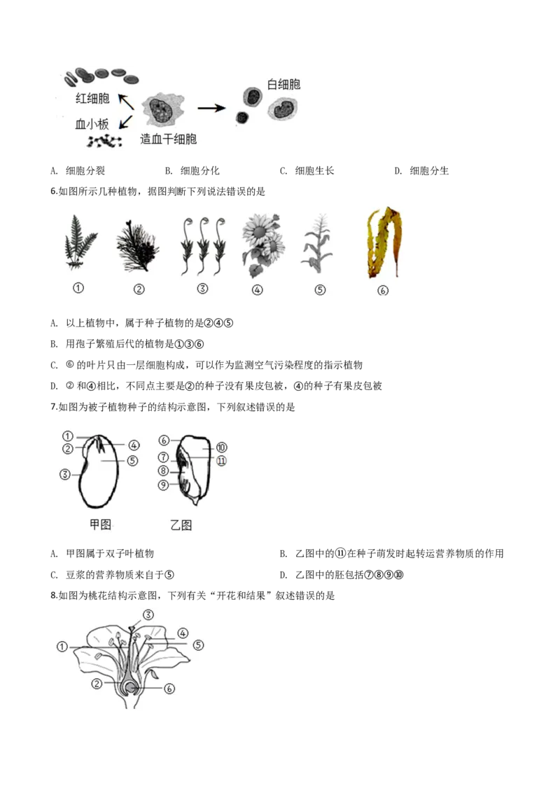 2019年陕西省咸阳市中考生物真题（空白卷）_陕西_6.陕西中考生物（2016-2025）