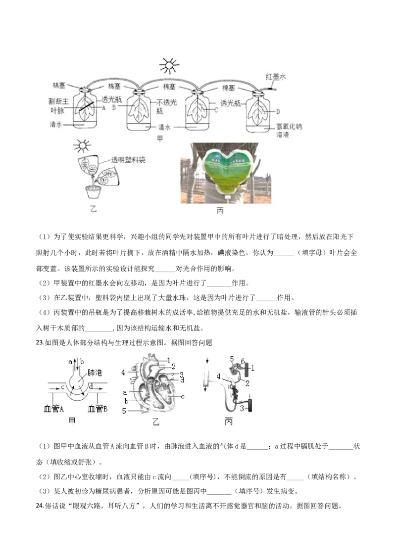 2019年陕西省咸阳市中考生物真题（空白卷）_陕西_6.陕西中考生物（2016-2025）