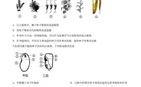 2019年陕西省咸阳市中考生物真题（空白卷）_陕西_6.陕西中考生物（2016-2025）