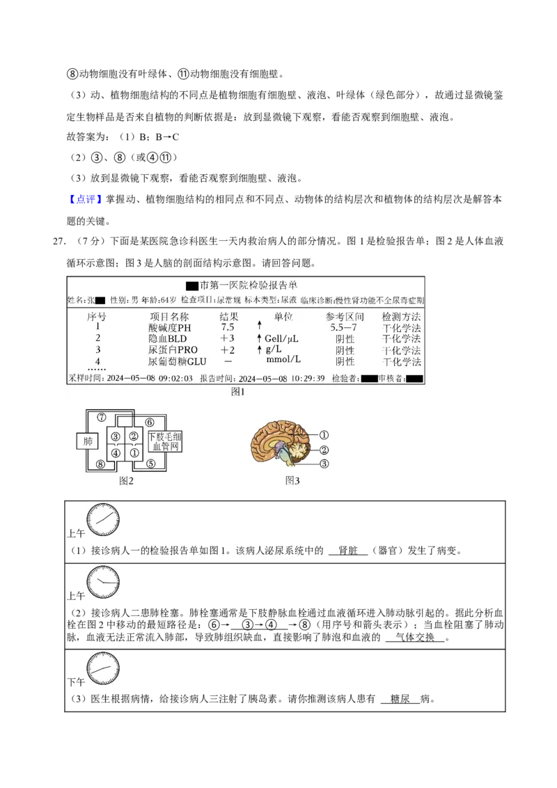 2024年陕西省中考生物真题（解析卷）_陕西_6.陕西中考生物（2016-2025）