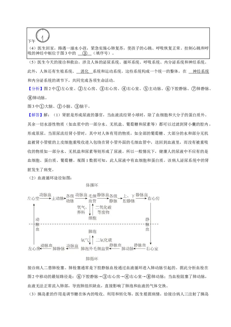 2024年陕西省中考生物真题（解析卷）_陕西_6.陕西中考生物（2016-2025）