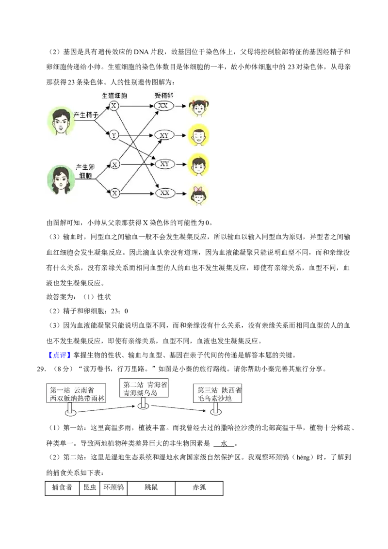 2024年陕西省中考生物真题（解析卷）_陕西_6.陕西中考生物（2016-2025）