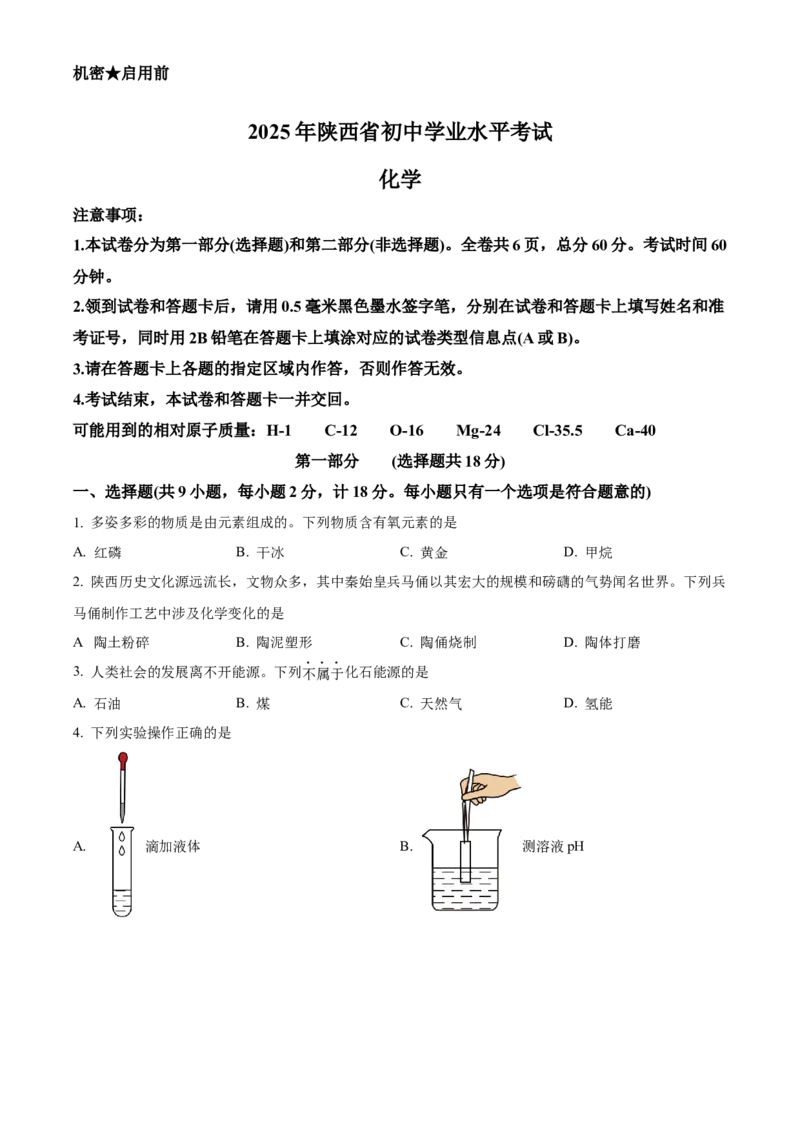 2025年陕西省中考化学真题（空白卷）_陕西_5.陕西中考化学（2008-2025）