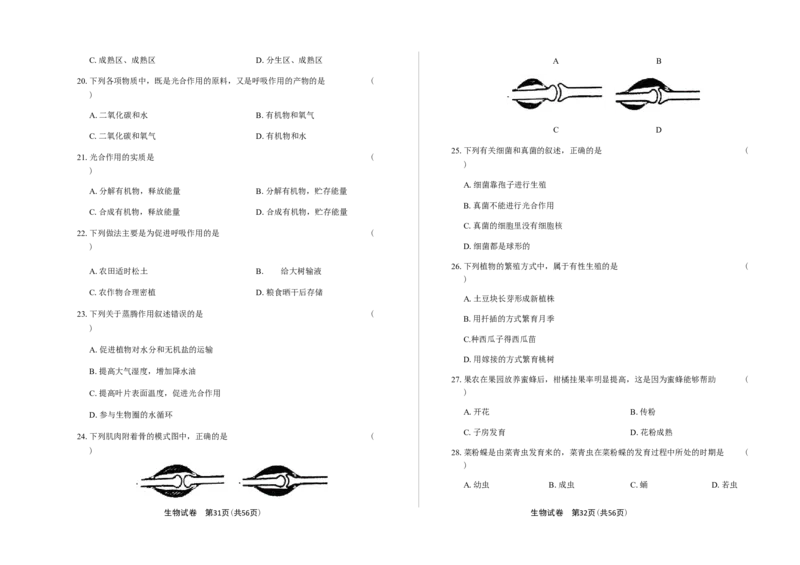 2019年河北省石家庄市中考生物试题（原卷版）_河北中考_6.河北生物2015-2024年卷