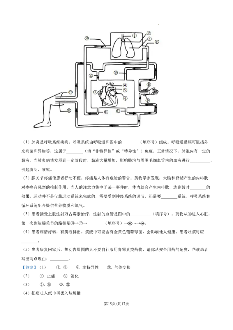 2025年陕西省中考生物真题（解析版）_陕西_6.陕西中考生物（2016-2025）