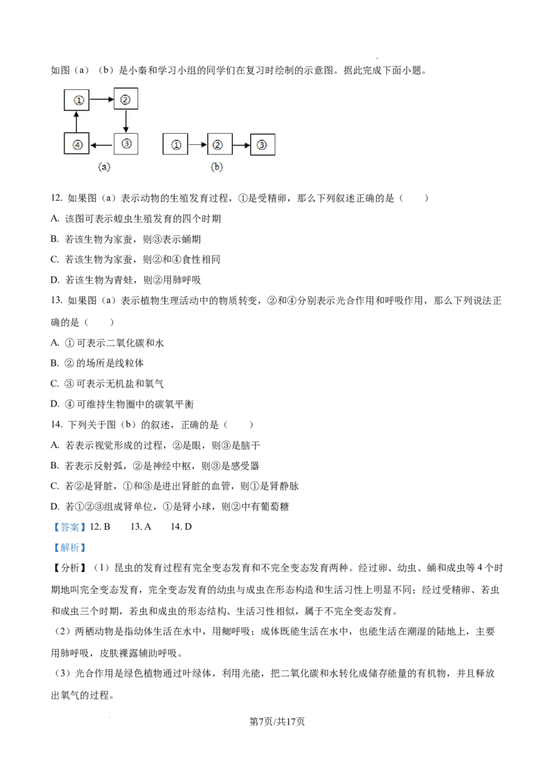 2025年陕西省中考生物真题（解析版）_陕西_6.陕西中考生物（2016-2025）