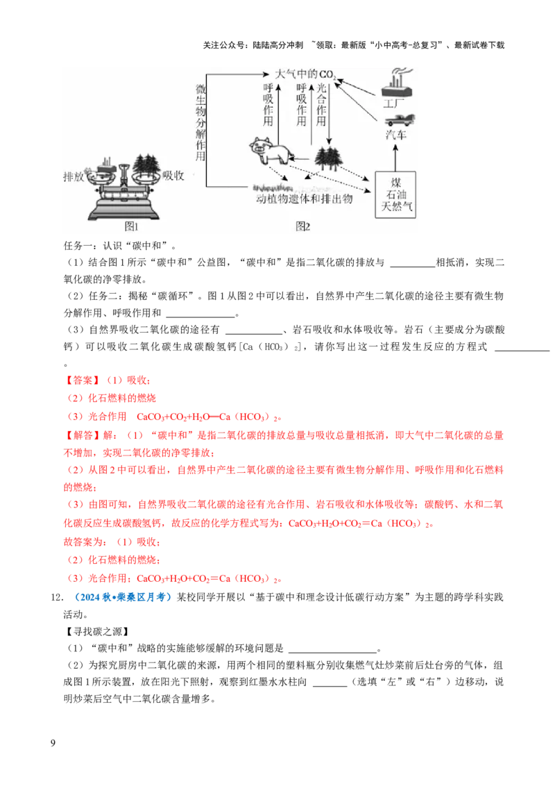 跨学科实践活动05基于碳中和理念设计低碳行动方案（解析版）_02中考总复习（2026版更新中）_05-化学-中考总复习_2025年中考复习资料_跨学科实践备战2025年中考化学命题专项突破