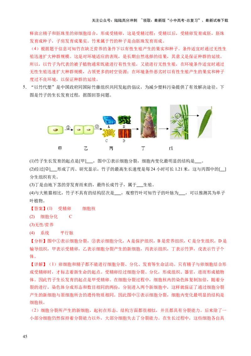 时事热点（讲练）（原卷版）_02中考总复习（2026版更新中）_08-生物-中考总复习_2025中考复习资料_2025中考二轮课件ppt+讲义+练习生物_测试