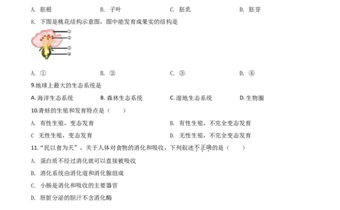 2020年陕西省中考生物真题（空白卷）_陕西_6.陕西中考生物（2016-2025）