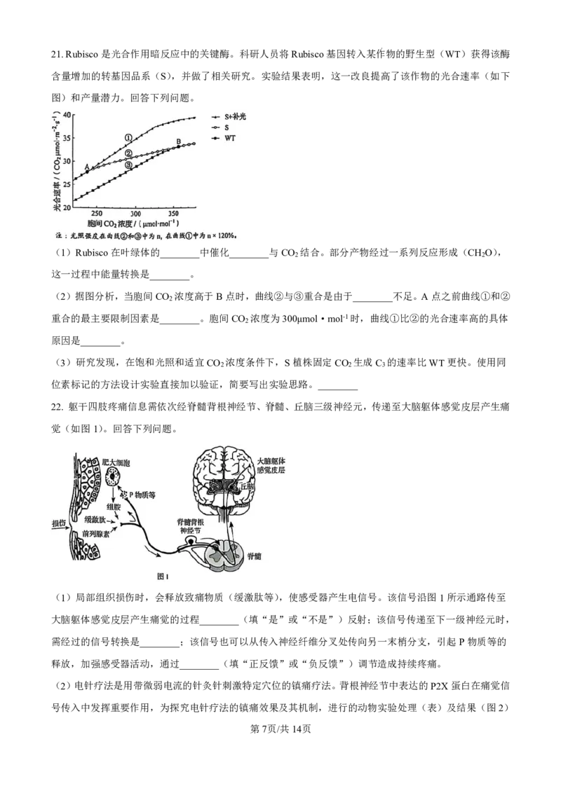 2025年黑龙江、吉林、辽宁、内蒙古高考生物真题试卷_高考历年真题_2025全国各省高考真题+答案_17、黑龙江卷（物理、历史、化学、地理、政治、生物）