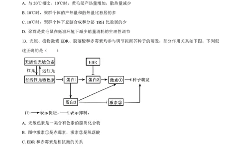 2025年黑龙江、吉林、辽宁、内蒙古高考生物真题试卷_高考历年真题_2025全国各省高考真题+答案_17、黑龙江卷（物理、历史、化学、地理、政治、生物）