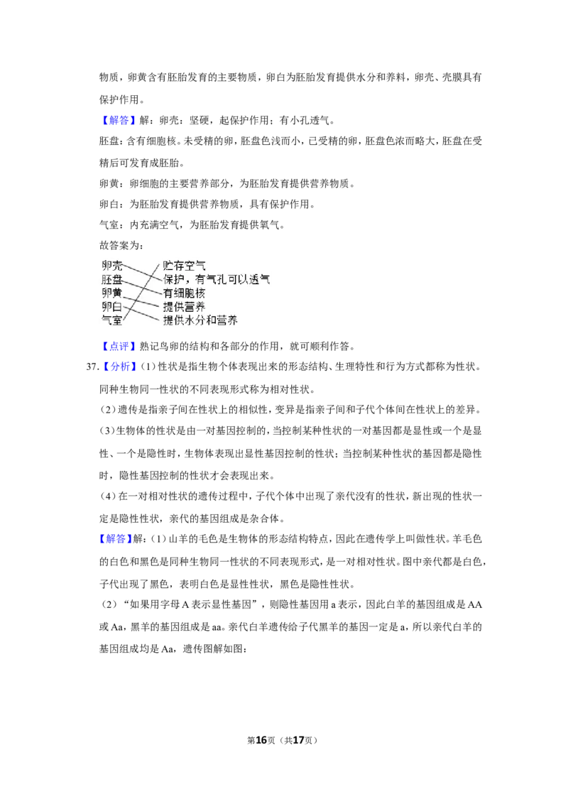 2020年河北省邢台市中考生物试题（解析版）_河北中考_6.河北生物2015-2024年卷