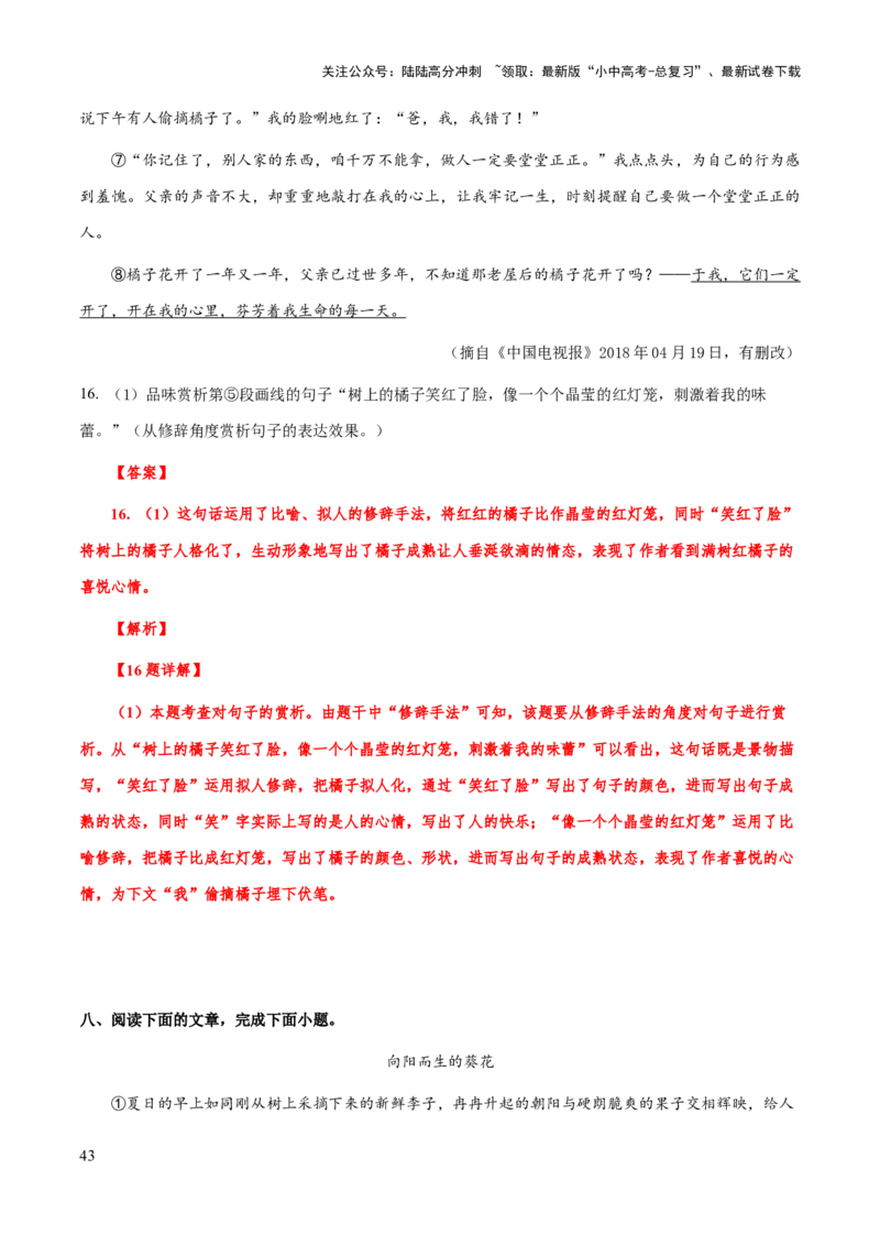 专题51文学类文本之修辞赏析（知识梳理+练习）(解析版）_02中考总复习（2026版更新中）_01-语文-中考总复习_2025年中考资料_备战2025年中考语文一轮复习考点突破（全国通用）