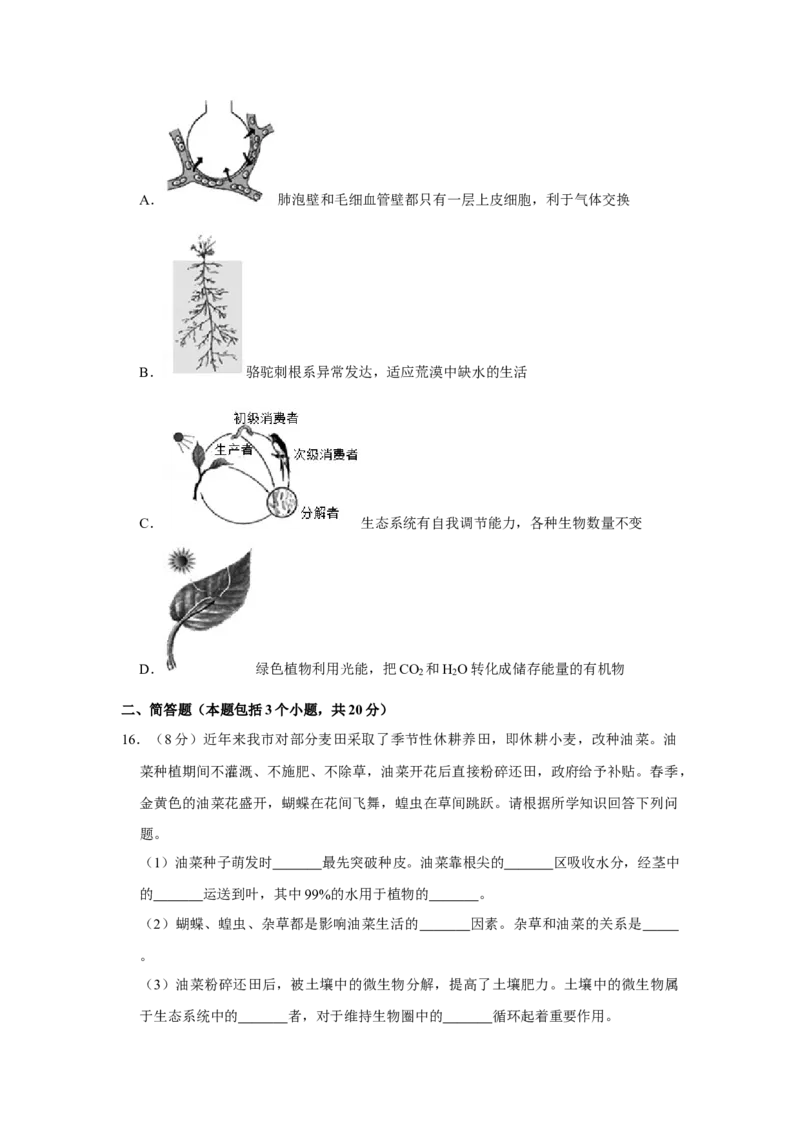 2018年河北省沧州市中考生物试题（原卷版）_河北中考_6.河北生物2015-2024年卷