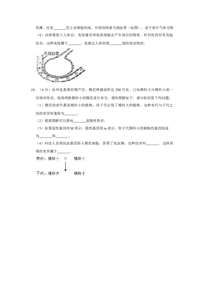 2015年河北省沧州市中考生物试题（原卷版）_河北中考_6.河北生物2015-2024年卷