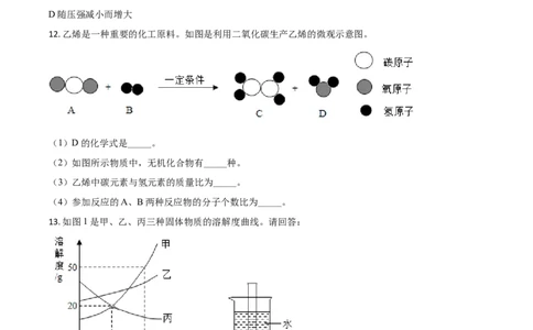 2020年陕西省中考化学真题（副卷）（空白卷）_陕西_5.陕西中考化学（2008-2025）