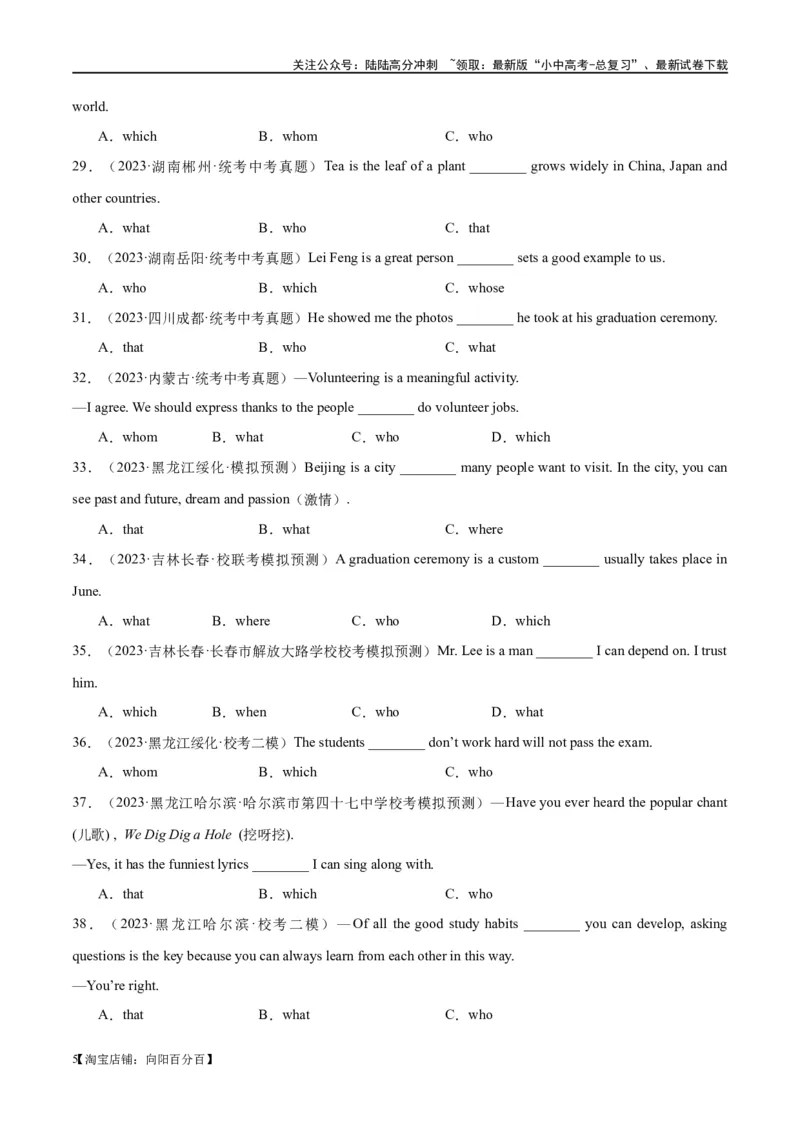 易错点01定语从句（教师版）_02中考总复习（2026版更新中）_03-英语-中考总复习_2024年中考复习资料_专项复习资料_❤备战2024年中考英语满分冲刺之易错题轻松突破