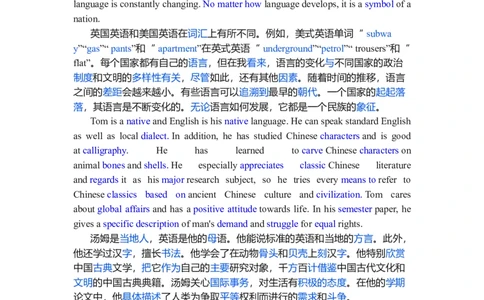 Unit5LanguagesAroundtheWorld复习导学案-2024届高三英语一轮复习人教版（2019）必修第一册_03高考英语_新高考复习资料_2024年新高考资料_一轮复习资料_必修一