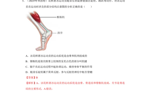 题型01选择题（解析版）_02中考总复习（2026版更新中）_08-生物-中考总复习_2024年中考复习资料_专项复习_备战2024年中考生物真题题源解密