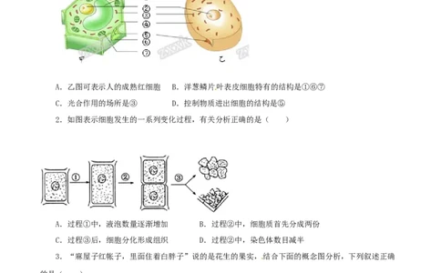 2016年河北省沧州市中考生物试题（原卷版）_河北中考_6.河北生物2015-2024年卷