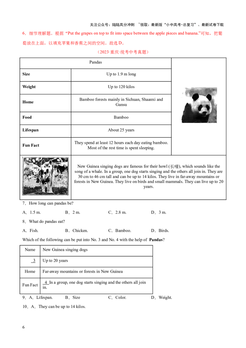 英语（三）-2024年中考考前20天终极冲刺攻略_02中考总复习（2026版更新中）_03-英语-中考总复习_2024年中考复习资料_三轮复习_2024年中考英语考前20天终极冲刺攻略