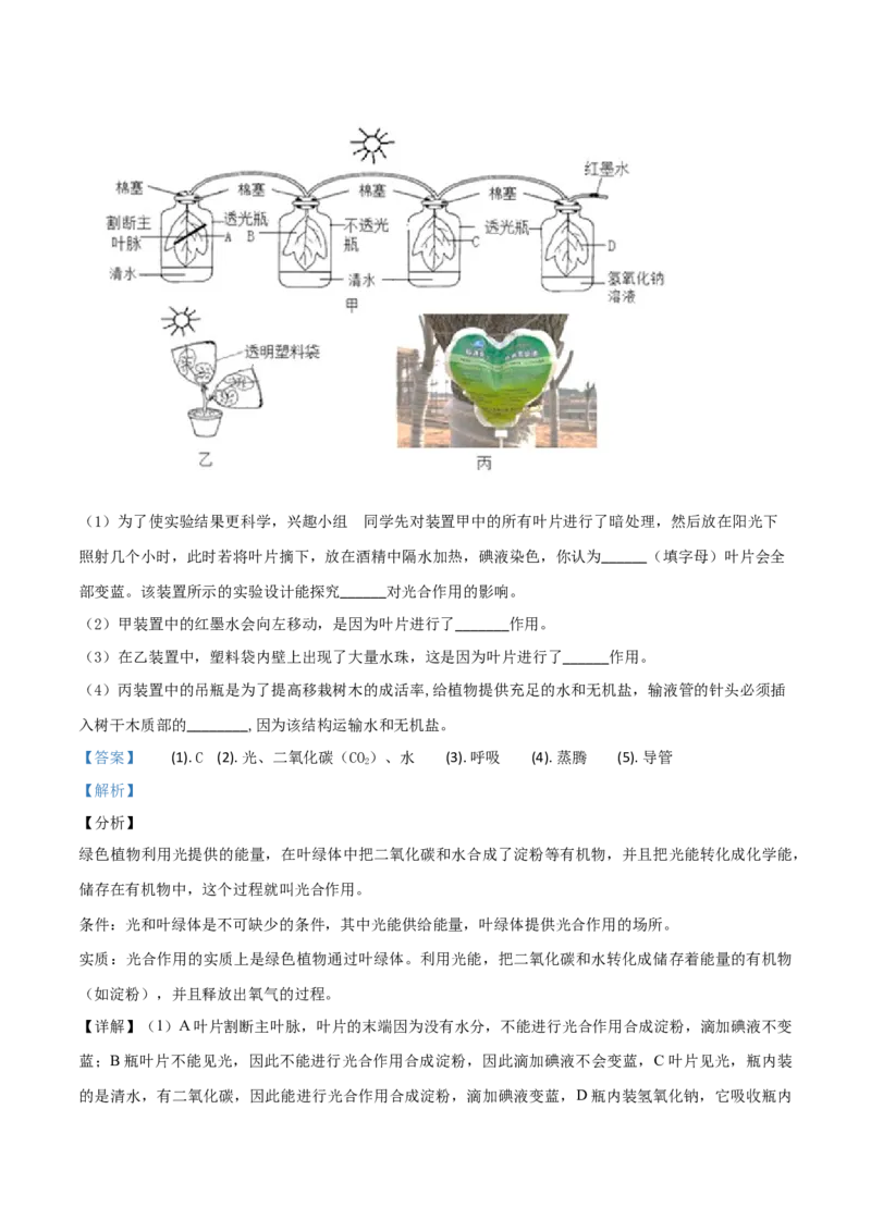 2019年陕西省咸阳市中考生物真题（解析卷）_陕西_6.陕西中考生物（2016-2025）