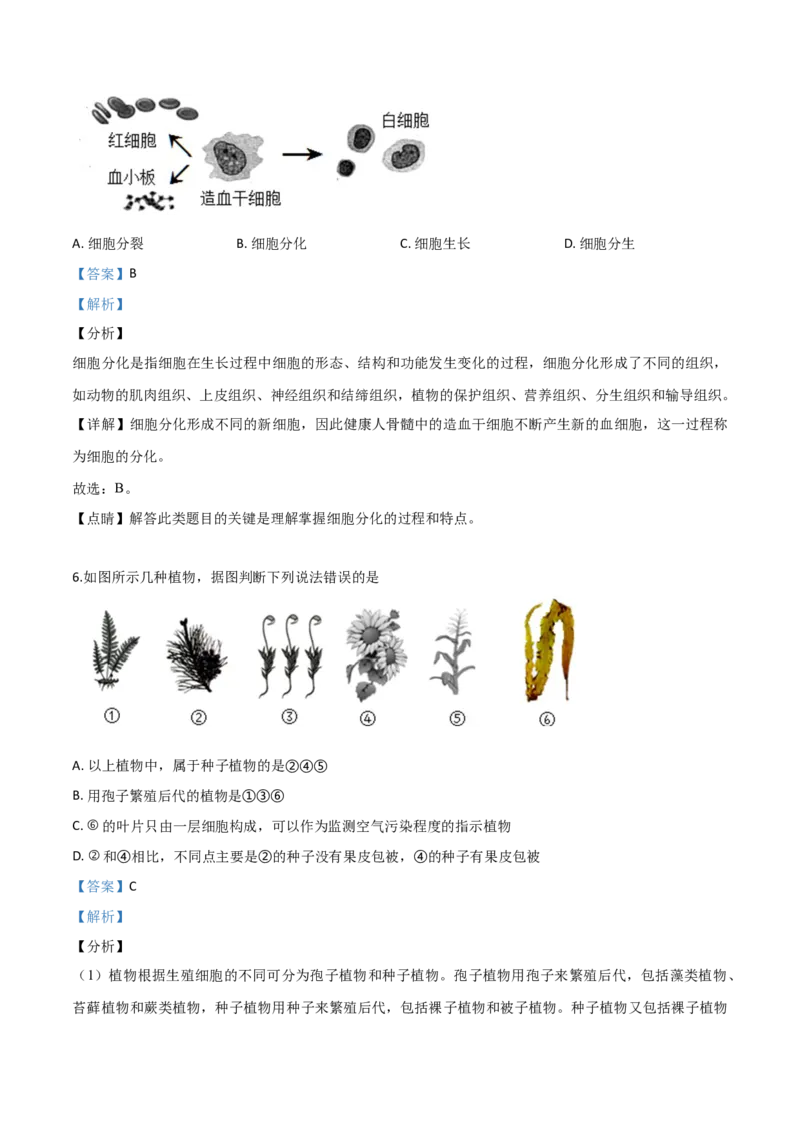 2019年陕西省咸阳市中考生物真题（解析卷）_陕西_6.陕西中考生物（2016-2025）