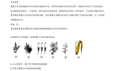 2019年陕西省咸阳市中考生物真题（解析卷）_陕西_6.陕西中考生物（2016-2025）