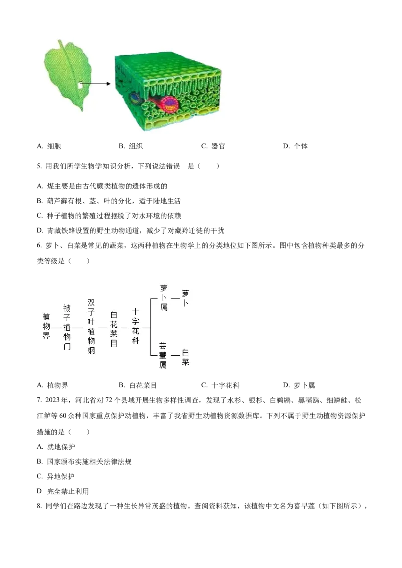 2024年河北省中考生物真题（原卷版）_河北中考_6.河北生物2015-2024年卷