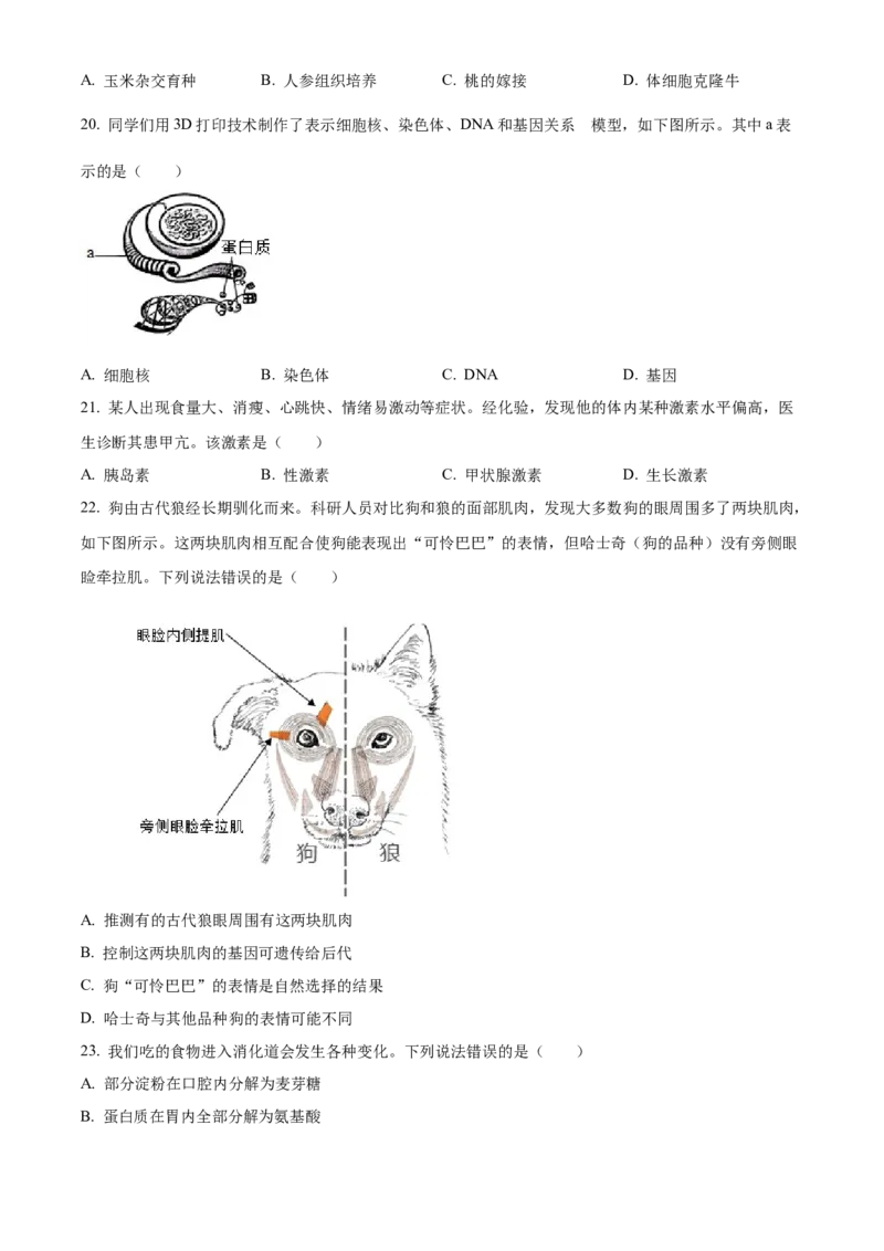 2024年河北省中考生物真题（原卷版）_河北中考_6.河北生物2015-2024年卷