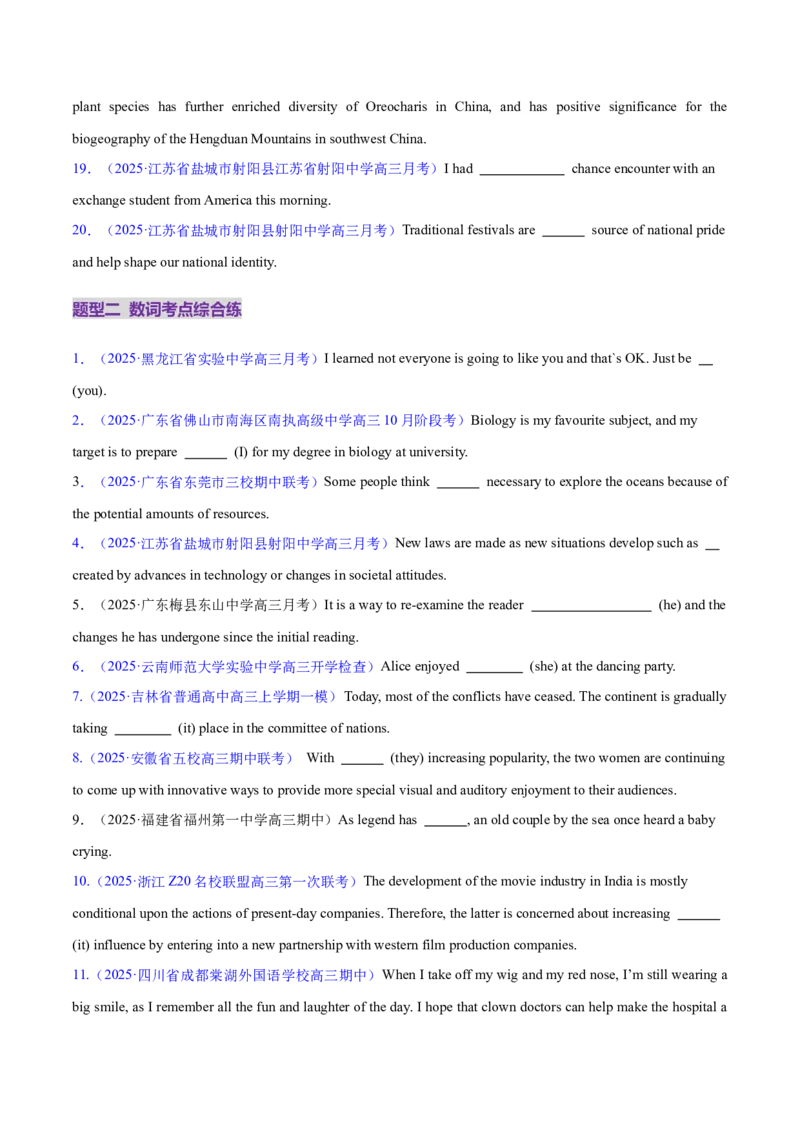 专题01冠词和代词（练习）（原卷版）_02高考数学_2025年新高考资料_二轮复习_01高考语文等多个文件_上好课2025年高考英语二轮复习讲练测（新高考通用）_第三部分语法知识
